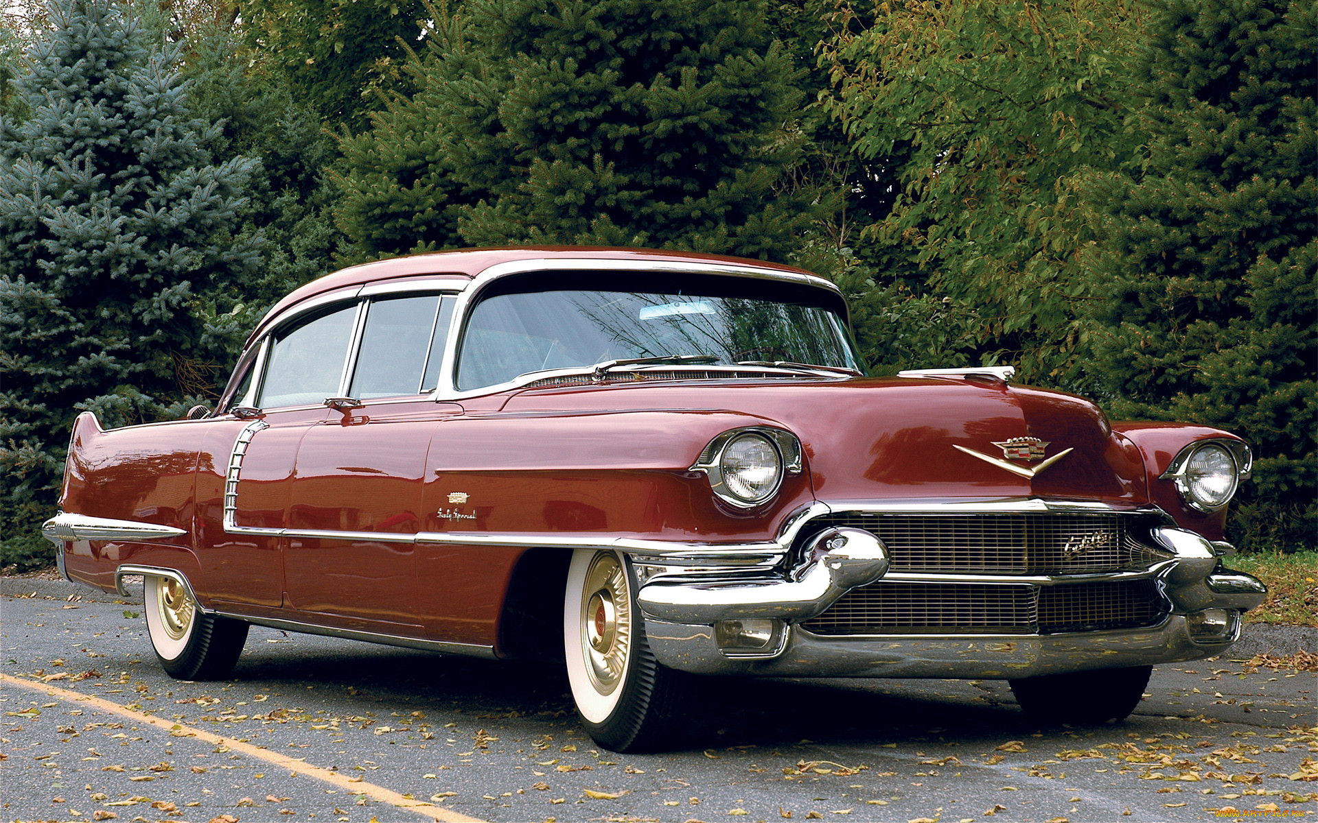 , cadillac, caddy